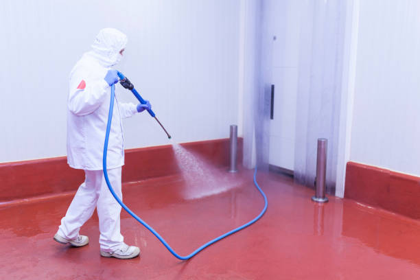 Best Winterizing Services  in Sullivan City, TX